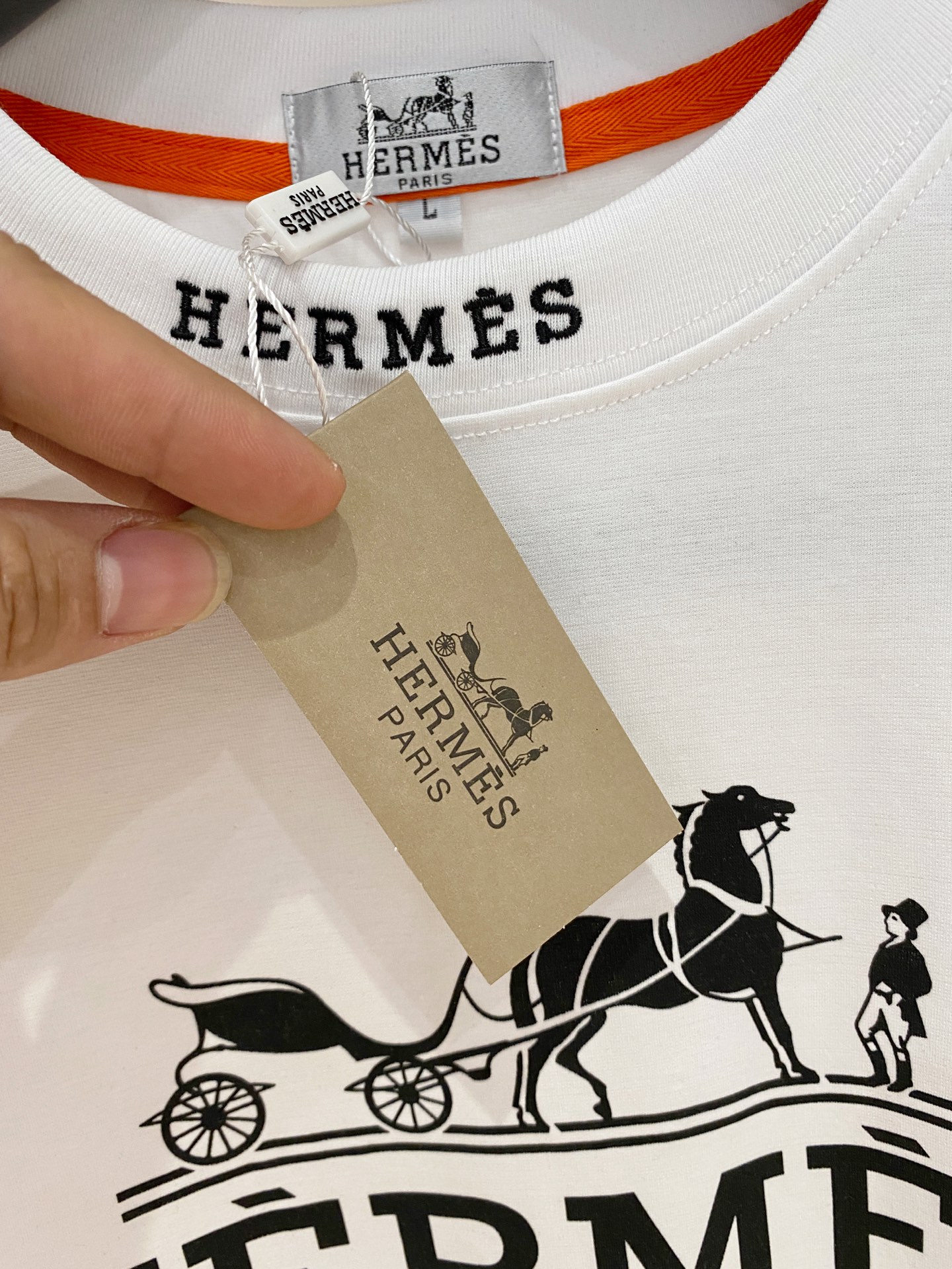 short sleeves